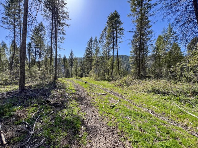 16XX Williams Lake Rd, Colville, WA 99114 - photo 11