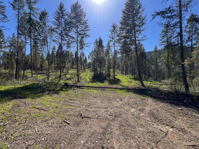 16XX Williams Lake Rd, Colville, WA 99114 - photo 12