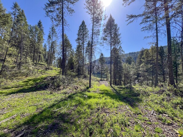 16XX Williams Lake Rd, Colville, WA 99114 - photo 3