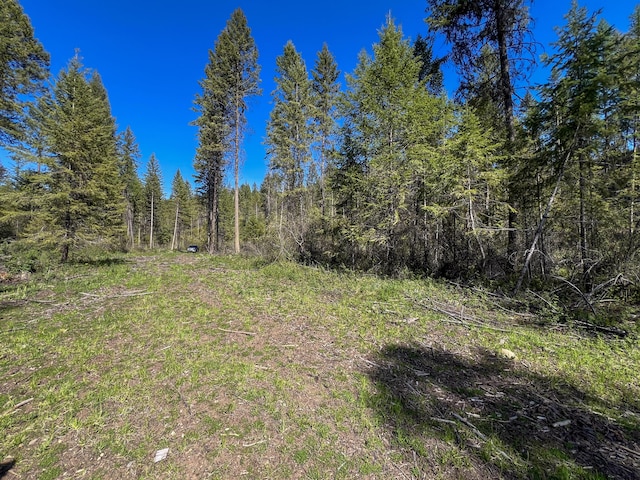 16XX Williams Lake Rd, Colville, WA 99114 - photo 4