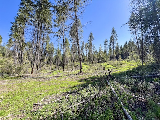 16XX Williams Lake Rd, Colville, WA 99114 - photo 21