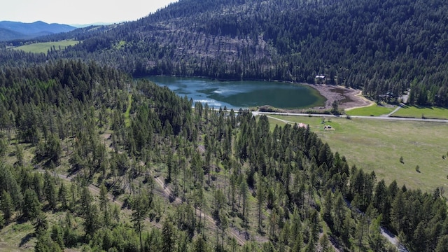 16XX Williams Lake Rd, Colville, WA 99114 - photo 1