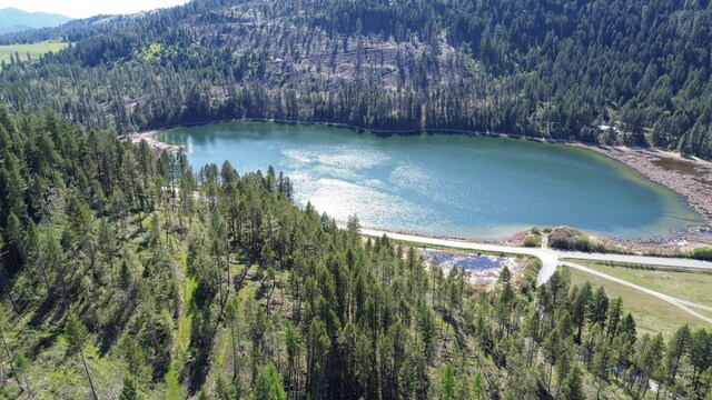 16XX Williams Lake Rd, Colville, WA 99114 - photo 10
