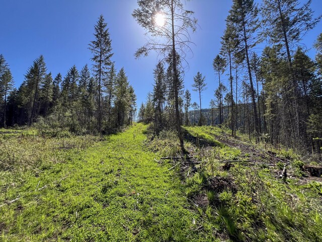 16XX Williams Lake Rd, Colville, WA 99114 - photo 14
