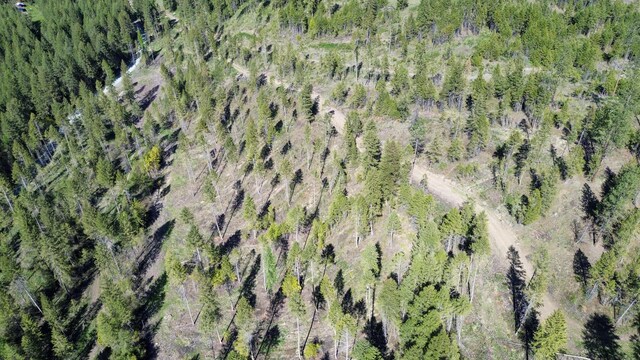 16XX Williams Lake Rd, Colville, WA 99114 - photo 9