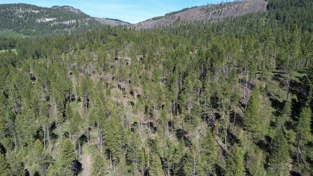 16XX Williams Lake Rd, Colville, WA 99114 - photo 8
