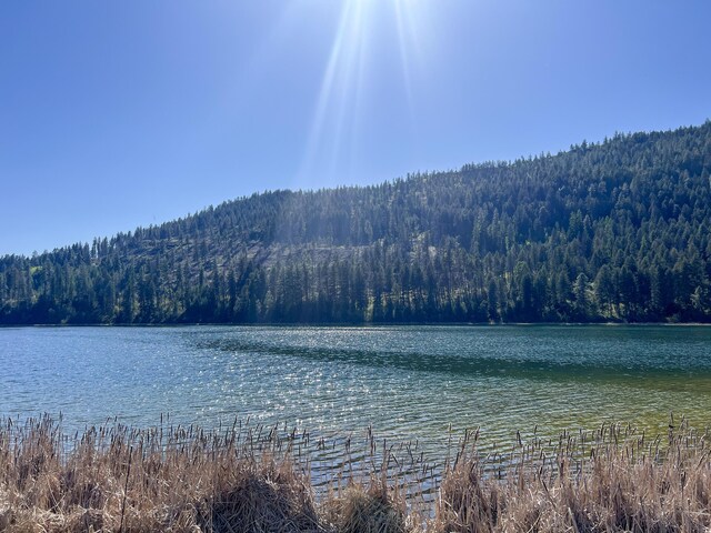 16XX Williams Lake Rd, Colville, WA 99114 - photo 24