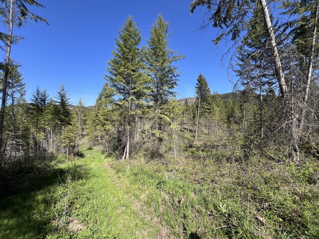 16XX Williams Lake Rd, Colville, WA 99114 - photo 20