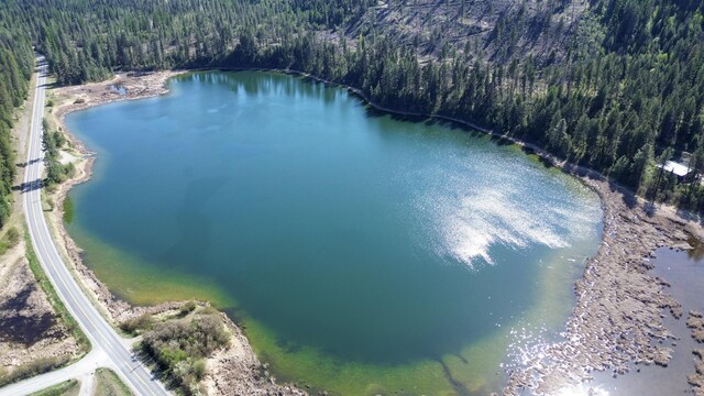 16XX Williams Lake Rd, Colville, WA 99114 - photo 2