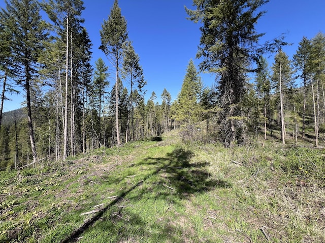 16XX Williams Lake Rd, Colville, WA 99114 - photo 15