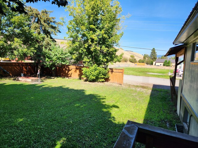 view of yard