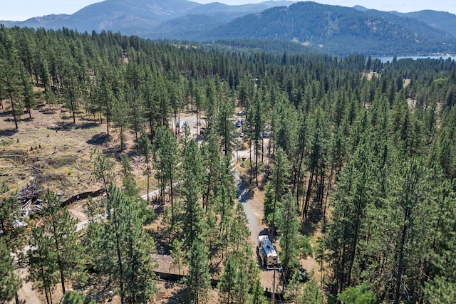 1477F College Ln, Kettle Falls, WA 99141 - photo 21