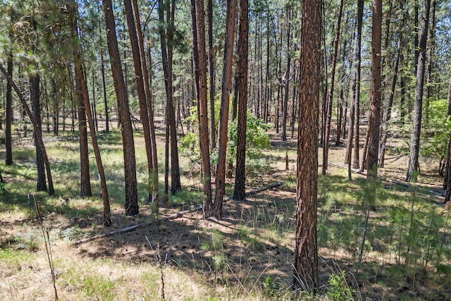 1477F College Ln, Kettle Falls, WA 99141 - photo 8