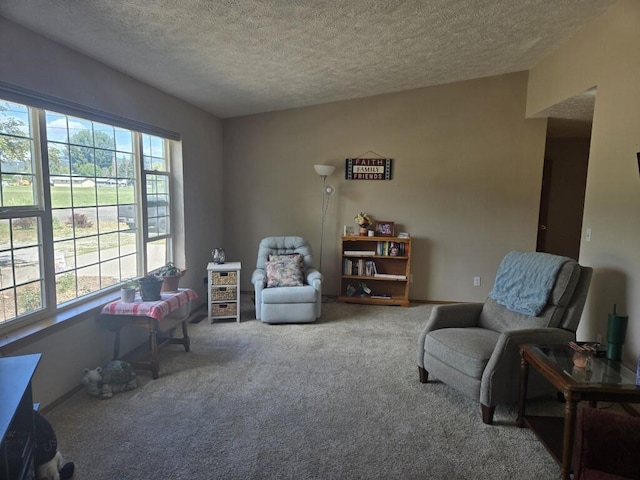 503 S Bernard St, Chewelah, WA 99109 - photo 8