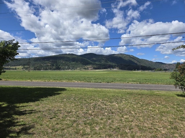 503 S Bernard St, Chewelah, WA 99109 - photo 20