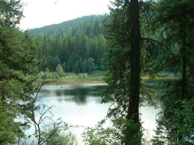 38XX Northport Flatcreek Rd, Northport, WA 99157 - photo 8