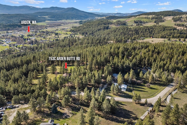 bird's eye view with a view of trees and a mountain view