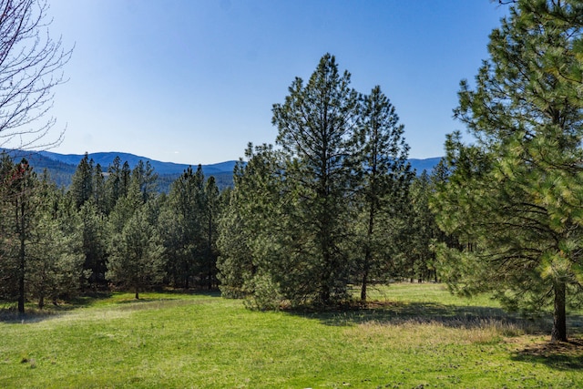 exterior space with a wooded view
