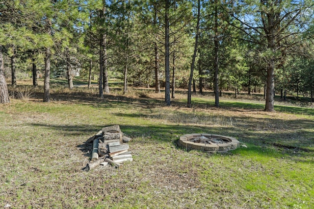 view of yard with a fire pit