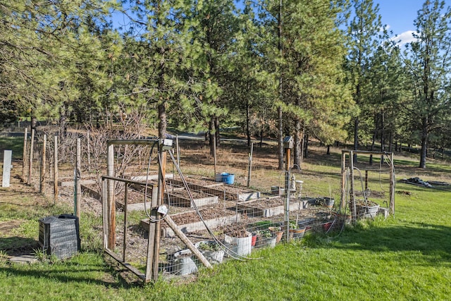 view of yard featuring a garden