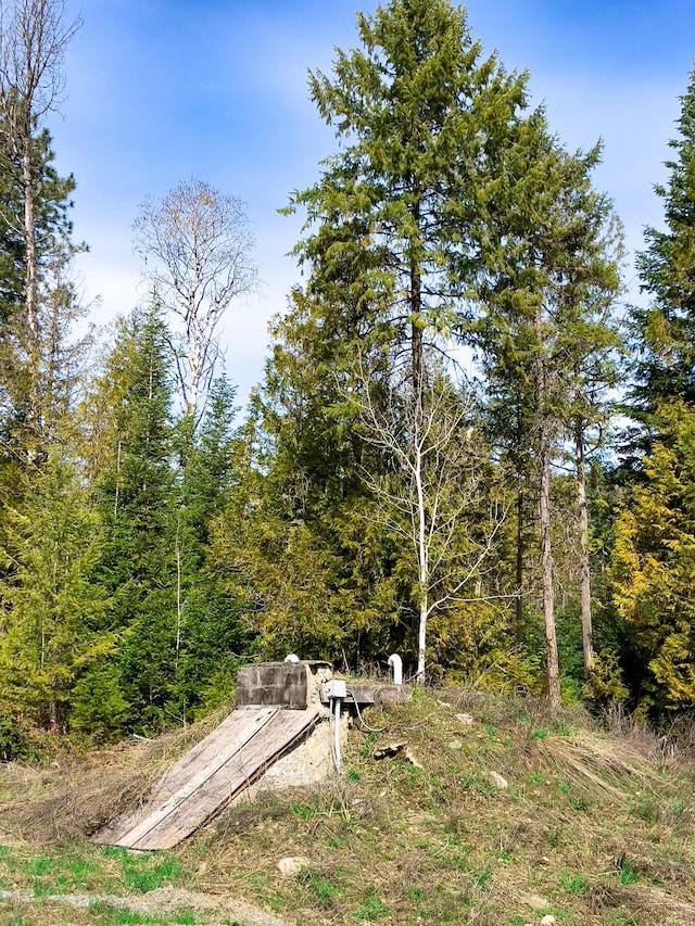 view of yard with a forest view