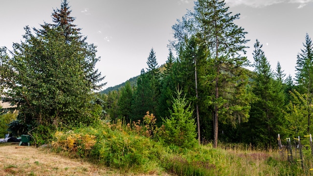 view of landscape featuring a view of trees