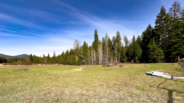 view of yard featuring a forest view and a mountain view