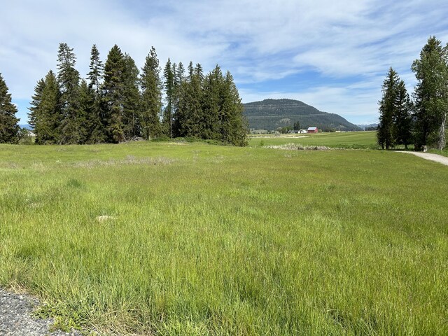 2135 Whitetail Way, Colville, WA 99114