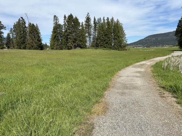 2135 Whitetail Way, Colville, WA 99114