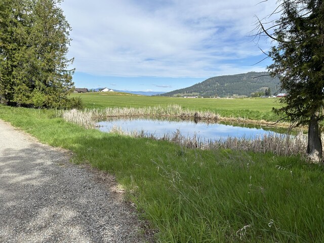 2135 Whitetail Way, Colville WA, 99114 land for sale