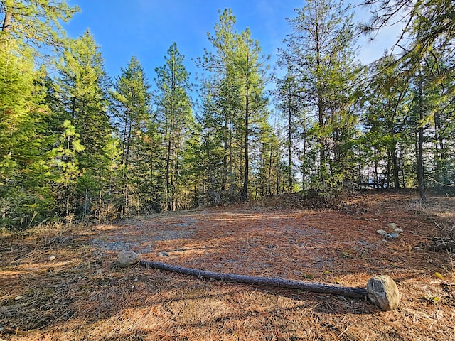 1631 Bonanza Hill Rd, Evans, WA 99126 - photo 23