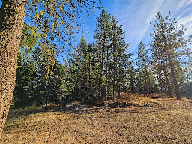 1631 Bonanza Hill Rd, Evans, WA 99126 - photo 30