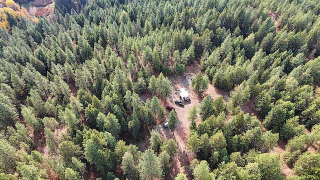 1631 Bonanza Hill Rd, Evans, WA 99126 - photo 8