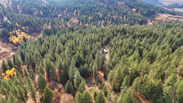 1631 Bonanza Hill Rd, Evans, WA 99126 - photo 35