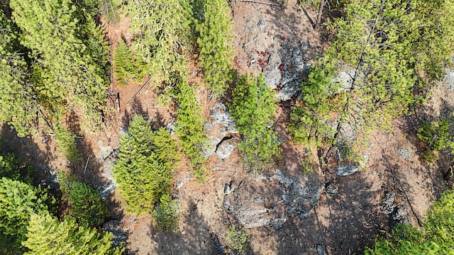 1631 Bonanza Hill Rd, Evans, WA 99126 - photo 18