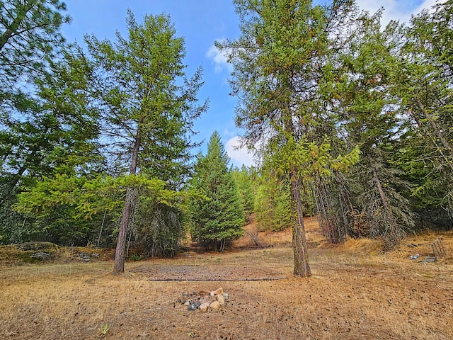 1631 Bonanza Hill Rd, Evans, WA 99126 - photo 7