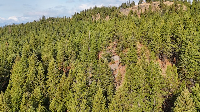 1631 Bonanza Hill Rd, Evans, WA 99126 - photo 15