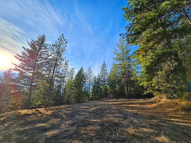 1631 Bonanza Hill Rd, Evans, WA 99126 - photo 21