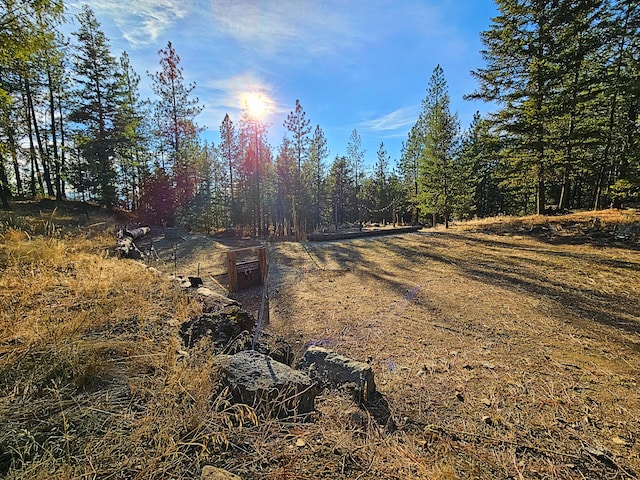 1631 Bonanza Hill Rd, Evans, WA 99126 - photo 11