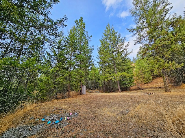 1631 Bonanza Hill Rd, Evans, WA 99126 - photo 25