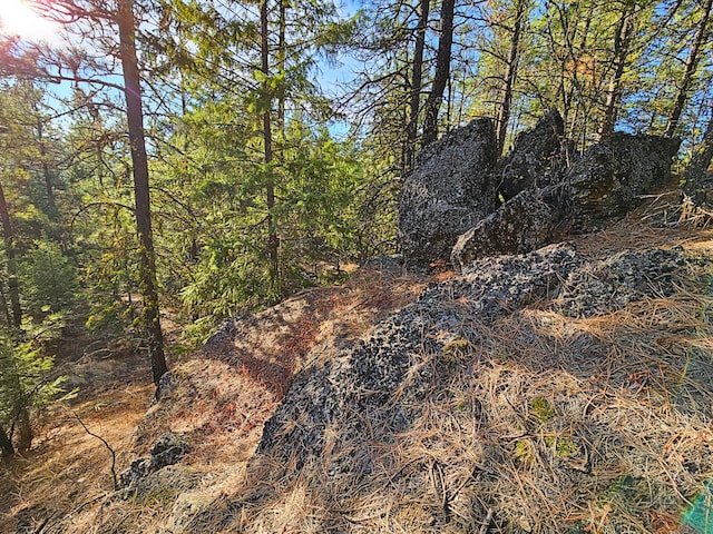 1631 Bonanza Hill Rd, Evans, WA 99126 - photo 28