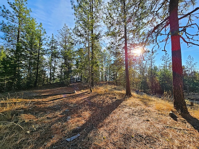 1631 Bonanza Hill Rd, Evans, WA 99126 - photo 19