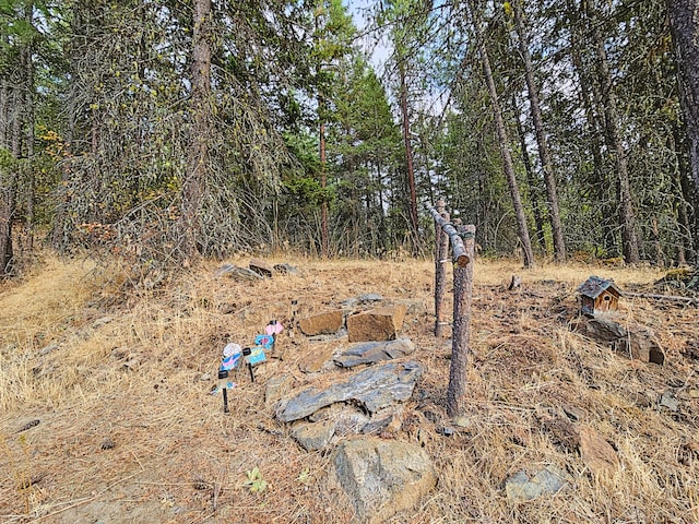 1631 Bonanza Hill Rd, Evans, WA 99126 - photo 29