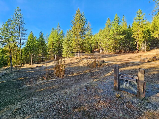 1631 Bonanza Hill Rd, Evans, WA 99126 - photo 4