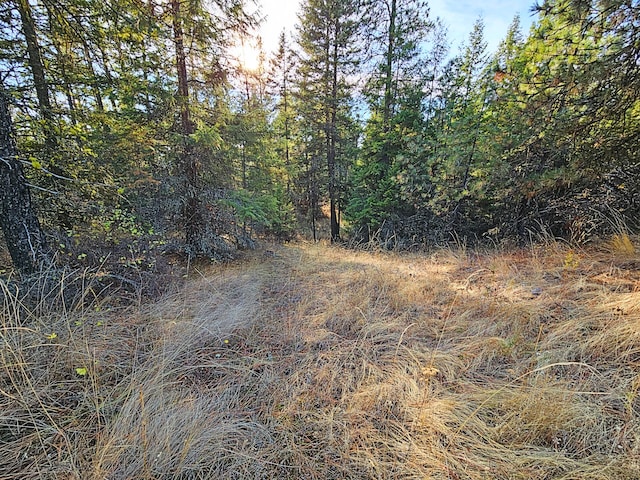 1631 Bonanza Hill Rd, Evans, WA 99126 - photo 26