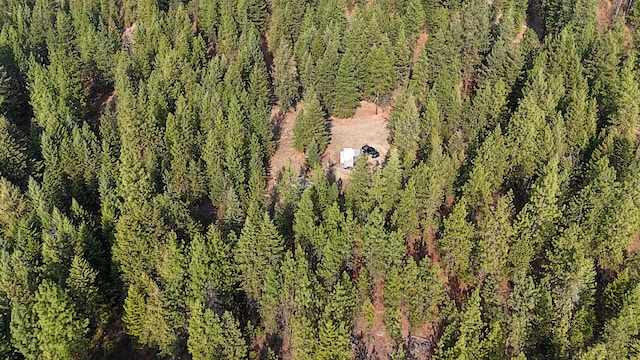 1631 Bonanza Hill Rd, Evans, WA 99126 - photo 24