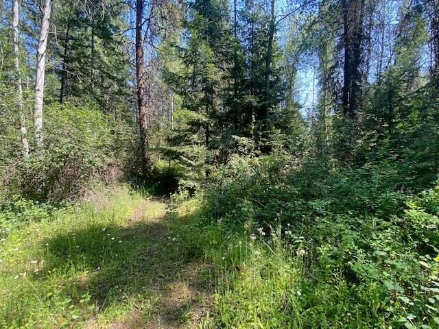 158 Teal Rd, Usk, WA 99180 - view of woods