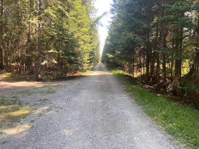 158 Teal Rd, Usk, WA 99180 - view of dirt / gravel road with a wooded view
