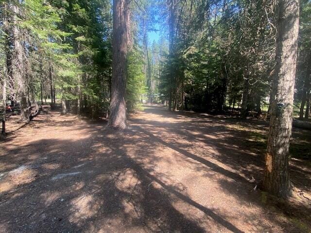 158 Teal Rd, Usk, WA 99180 - view of road featuring a forest view
