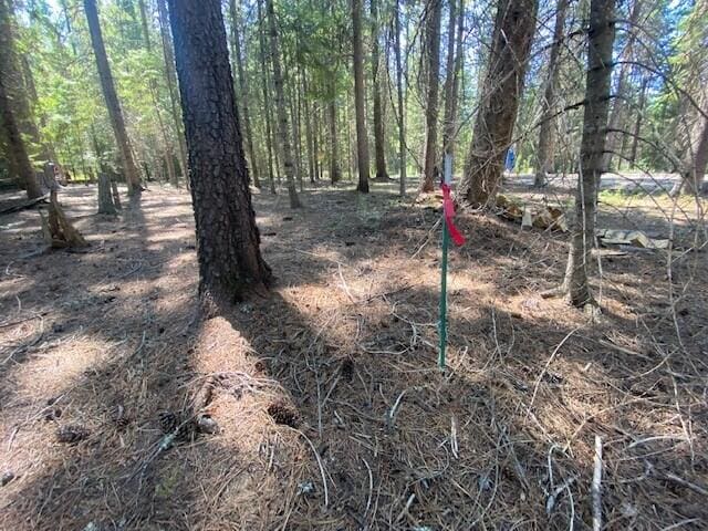 158 Teal Rd, Usk, WA 99180 - view of tree filled area